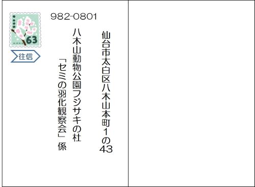R5　セミの羽化観察会　往信