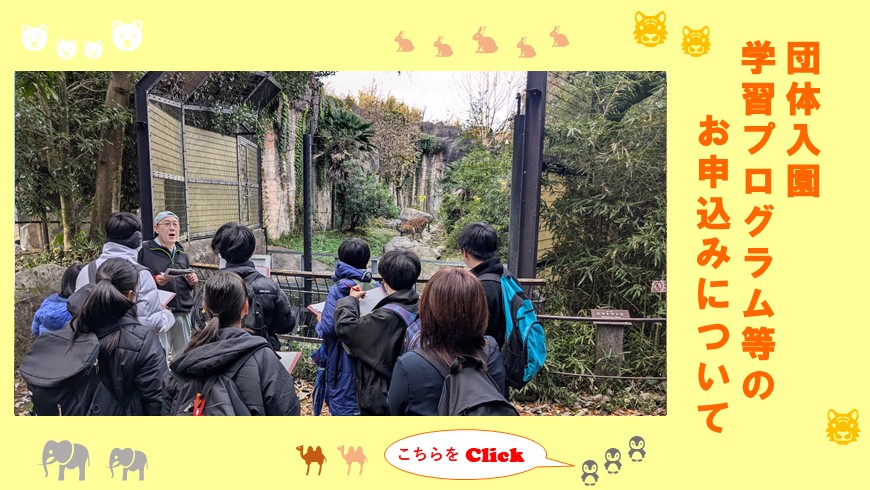 団体入園、学習プログラムの申込み