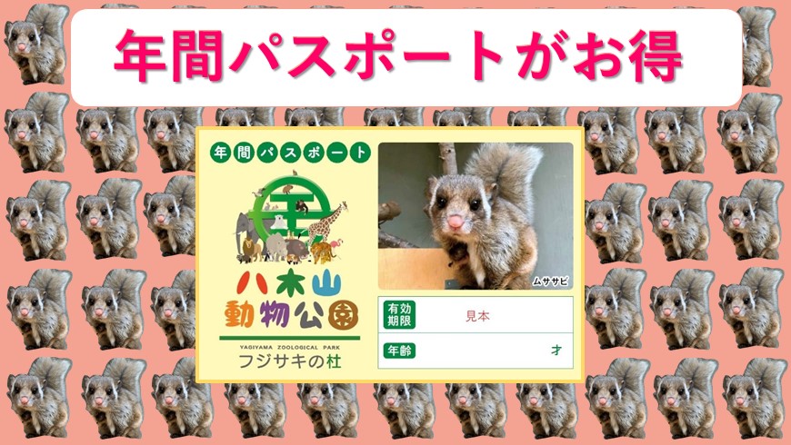 年間パスポート