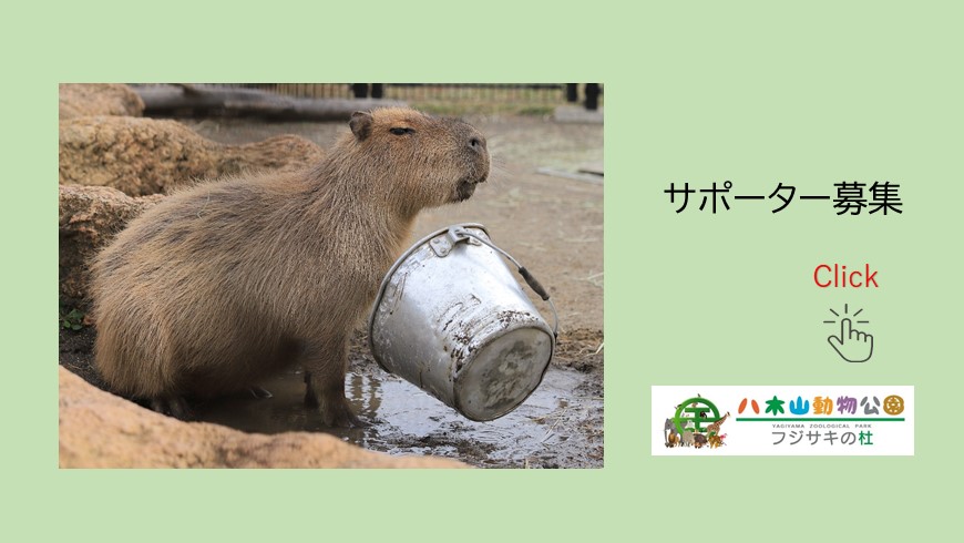 サポーター募集