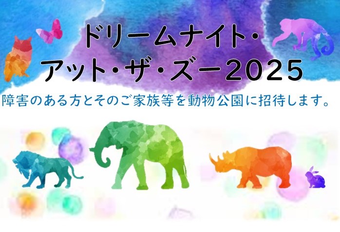 ドリームナイトアットザズー2025