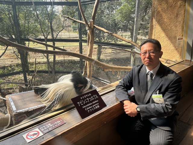 門馬園長と寝ているアビシニアコロブス