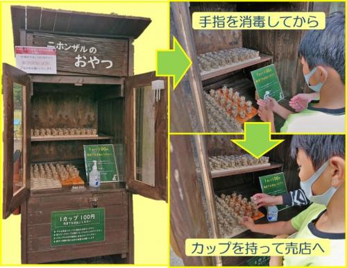 「ニホンザルのおやつ」購入方法（改）