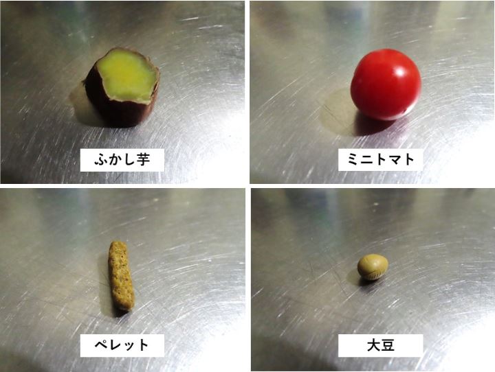 ふかし芋、ミニトマト、ペレット、大豆