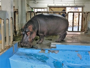 食べ終わったベロ