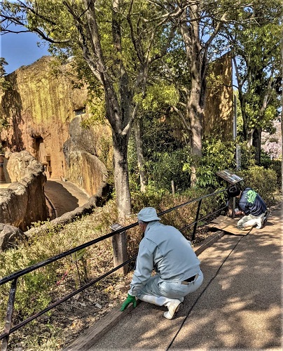 ブログ　アフリカ園お色直し1-6