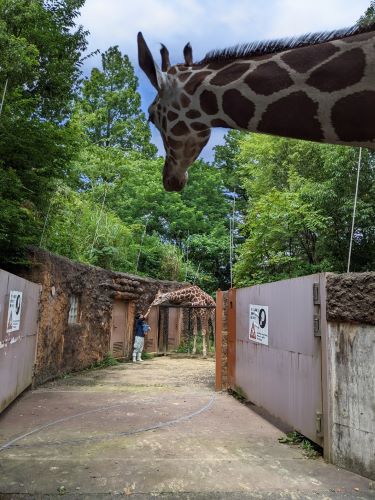 ブログ6　エミリー見守り隊